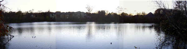 the panoramic...